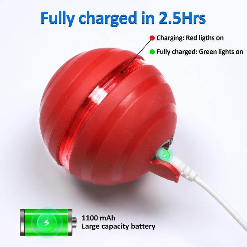 Interactive Dog Balls with Motion Activated, Wicked Ball Squeaky Dog Toy Oxford Bag Keep Dogs Busy (Red Ball) - BeesActive Australia