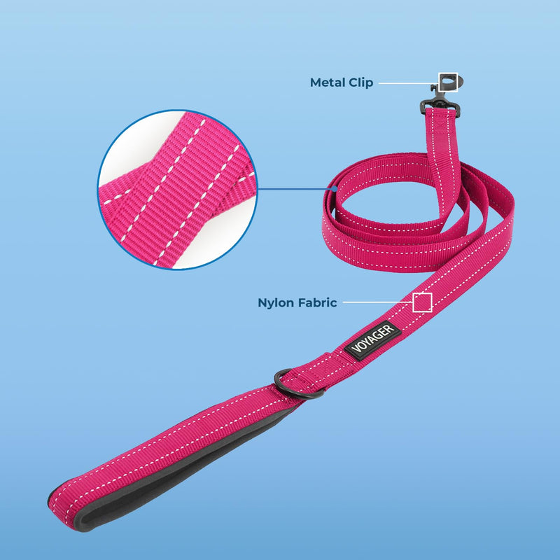 Voyager Reflective Dog Leash with Neoprene Handle, 5ft Long, Supports Small, Medium, and Large Breed Puppies, Cute and Heavy Duty for Walking, Running, and Training - Fuchsia (Leash), S Leash (Fuchsia) 5/8" x 5ft - BeesActive Australia