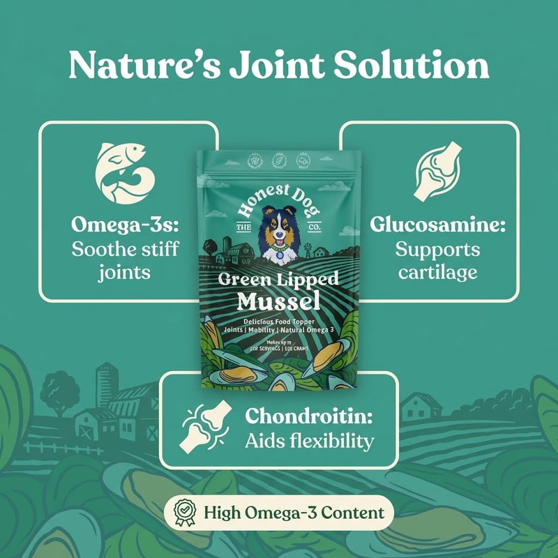 Green Lipped Mussel for Dogs | 100% Pure New Zealand Green Lipped Mussel Powder | Joint Support Omega 3, Glucosamine & Chondroitin | Additive Free, Freeze Dried | 100g | by Honest Dog Co. 100 Grams