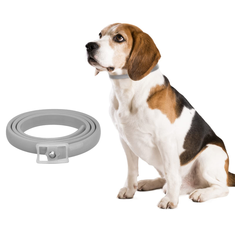 DEWEL 63.5 cm tick collar for dogs and cats, flea tick collar, flea and tick prevention collars, adjustable waterproof dog flea collar - BeesActive Australia