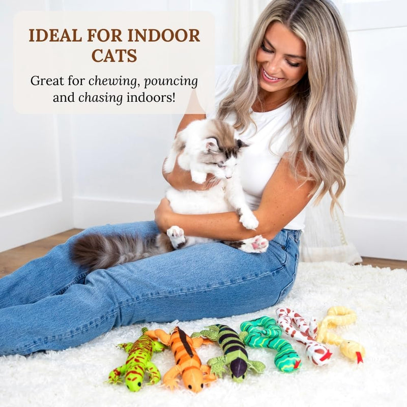 Cat Toys Catnip Toys for cats Cat Nip for Cats catnip toys for indoor cats Lizard Cat Toy Snake Cat Toy for Cats Interactive Cat Toy Cat Chew Toy Cat Chew Toys for indoor cats Kitty cat nip toys cat Bundle 10 - BeesActive Australia