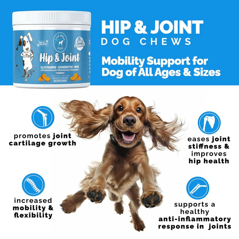 Hip & Joint Chew for Dogs - Now with Turmeric and Black Pepper - Pet Products with Glucosamine, Chondroitin, & MSM + Vitamins C and E for Dog Joint Relief – 120 Count - PawsPlanet Australia