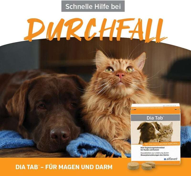 DIA TAB chewable tablets for dogs/cats 6X5.5 g - BeesActive Australia