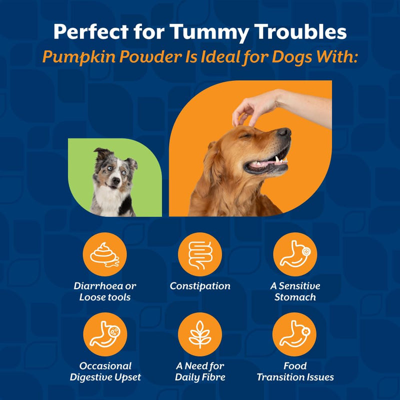 NaturVet Pure Pumpkin Powder for Dogs – 225g 100% Natural, Rich in Prebiotics High-Fibre Digestive Support for Firm Stools & Gut Health – Additive-Free - 90 Servings 225g Powder