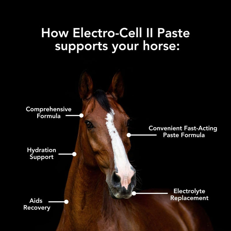 MVP Electro-Cell II Electrolyte Paste (2 dose tube) with probiotics for Horses