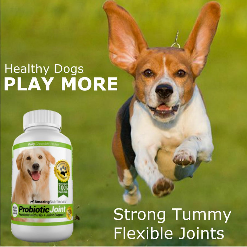 Probiotics for Dogs Joint Digestive with Skin and Coat Bundle - Omega 3 for Dogs Itchy Skin Relief for Dry Skin, Hot Spots and Shedding, Eliminates Joint Pain, Gas and Diarrhea Elimination