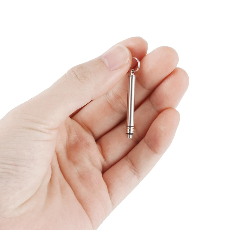 Portable Mini Titanium Toothpicks Holder, 2 Pieces Stainless Steel Metal Toothpicks Reusable Toothpick for Home Outdoor 2pcsSilver - BeesActive Australia