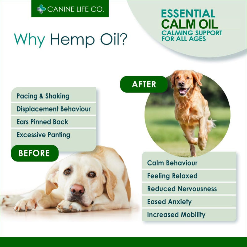 Canine Life Dog Calm Oil (60ml) Made from Pure Hemp Seed Oil for All Breeds, Natural Calming Support, Joint & Skin Health 60ml
