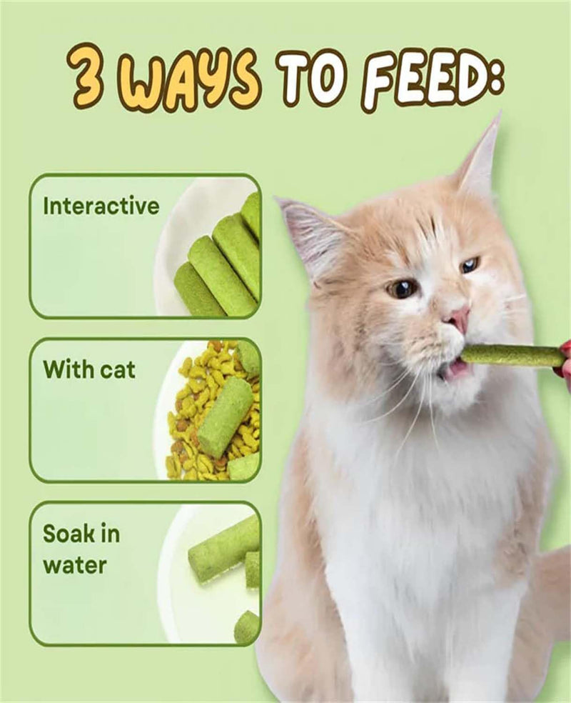 18PCS Cat Grass Sticks,Cats Grass Chew Sticks,Cat Teeth Cleaning Molar Rod for Cats Indoor,for Hairball Removal