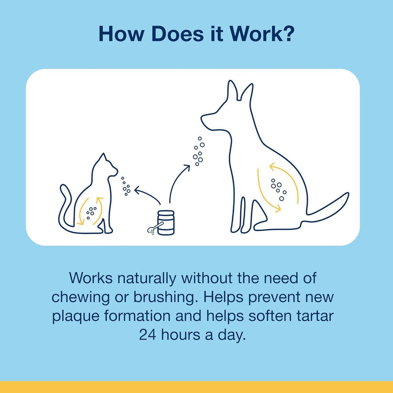 ProDen PlaqueOff Powder for Cats - Plaque & Tartar Reducer, Breath Freshener, Feline Oral Care - 40g (Pack of 2) 1.4 Ounce (Pack of 2)