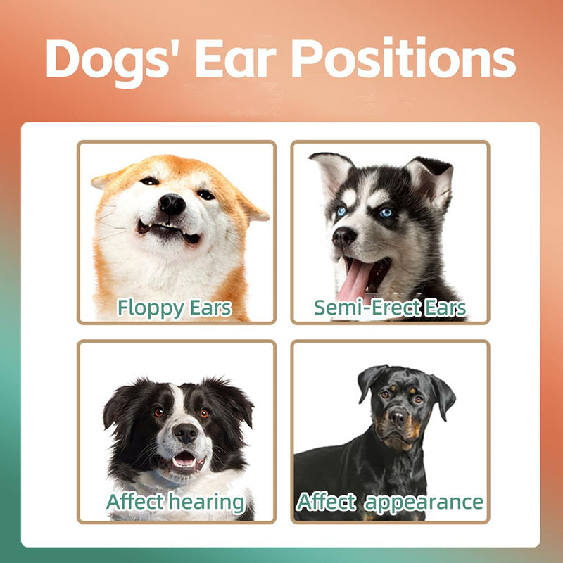 MANON ROSA Dog Ear Posting Kit for Doberman Pinschers - Ear Stand Up Support Tool with Tape for Ear Correction and Vertical Hold (2-Pack) 2-Pack - PawsPlanet Australia