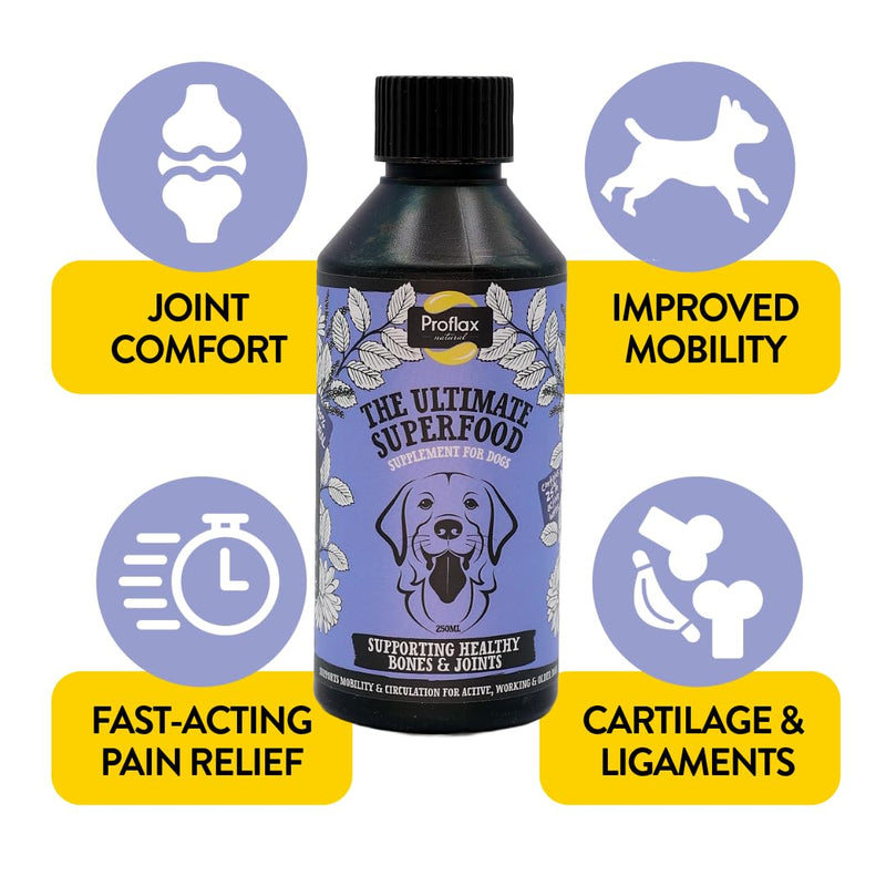 Proflax Joint Support for Dogs | Bone & Joint Mobility Supplement | Natural Support for Stiffness, Flexibility & Movement - 100ml