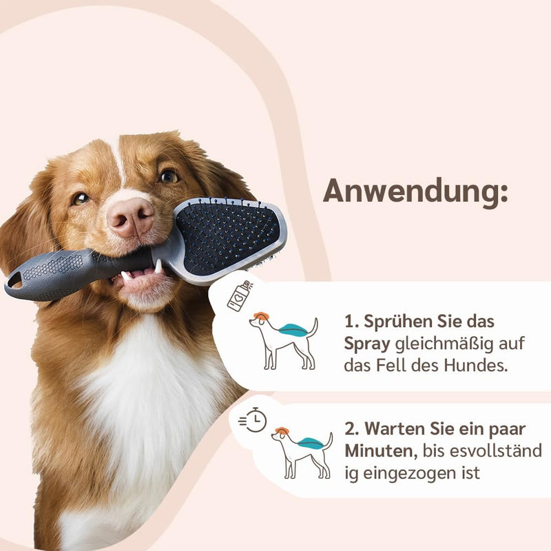 amusi Neem oil tick spray for dogs 250 ml - Natural protection spray for dogs, tick protection against ticks, insect spray & insect repellent, natural formula, vegan, without parabens and nickel - BeesActive Australia