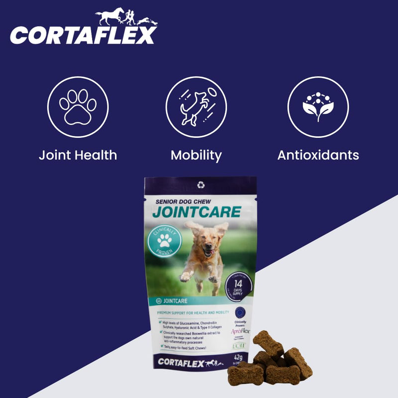 Senior Dog Chews (Contains 60 Chews) Supports Hip And Joint Mobility. Supplements For Dogs. Contains Chondroitin and Glucosamine. Dog Joint Support For Senior Dogs 60.0