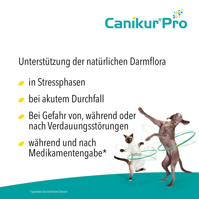 Canikur®Pro - to support the natural intestinal flora - dietary supplement for dogs and cats 60ml 60 ml (pack of 1) - BeesActive Australia