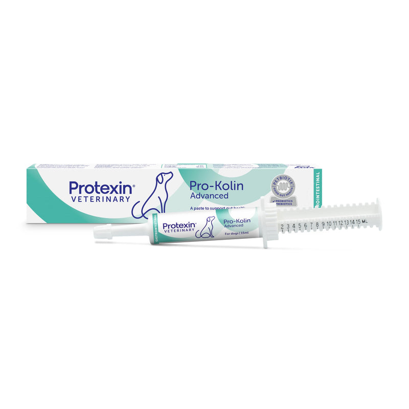 Pro-Kolin Advanced Gut Health Paste for Dogs to Firm Up Poop, Prebiotic and Probiotic Formula, Meat-Free Liver Flavour, 15ml