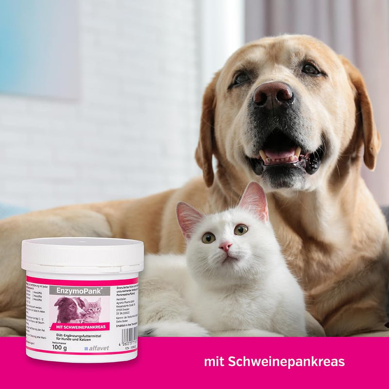 Alfavet EnzymoPank, for insufficient digestion, exocrine pancreatic insufficiency, for dogs and cats, diet supplement, powder, 100g - BeesActive Australia