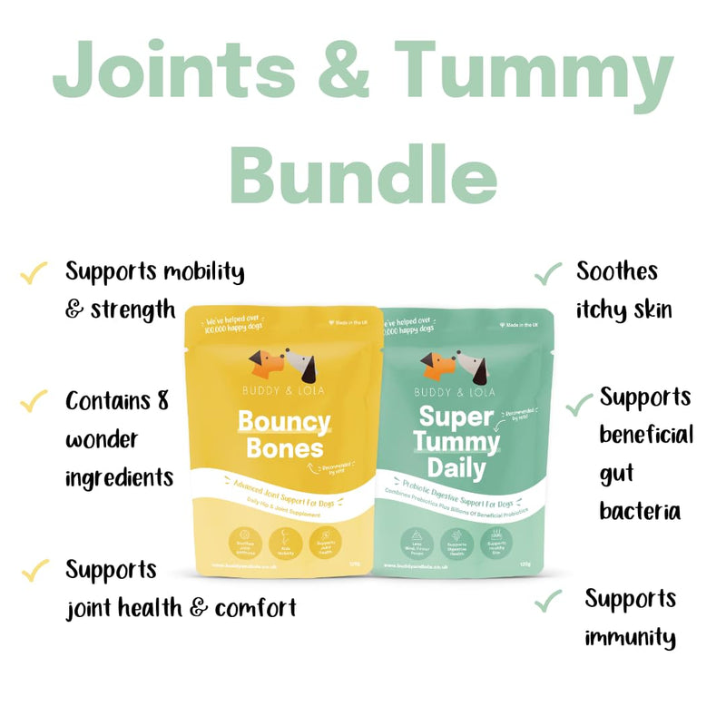 Buddy & Lola Joints and Tummy Bundle for Dogs - High CFU Count, Plant-Based Dog Probiotics for Gut Health - Dog Probiotic Powder with Prebiotics for Skin Health & Joint Support Supplement Value Joints and Tummy Bundle