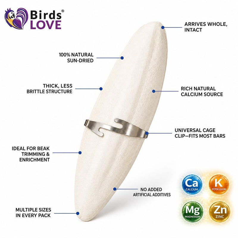Birds LOVE 7.5-8" Cuttlebone for Birds – 100% Natural Sun-Dried Calcium Carbonate Mineral Supplement – for Parakeets, Budgies, Cockatiels, Finches & Canaries – 2 Pack with Holder – Made in Vietnam