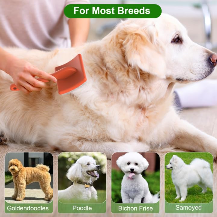 Dog Slicker Brush, Doodle & Poodle Grooming Brush with Stainless-steel Comb, Large Dog Brush for Goldendoodles, Labradoodles, Golden Retriever and Poodles to Remove Tangles, Undercoat & Mats Orange - BeesActive Australia