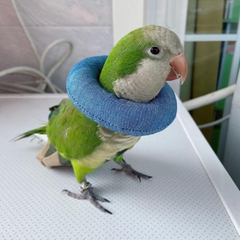 Parrot Neck Collar Pet Anti-bite Picking Feather Healing Protective Neck Cover Collar for Birds Conures Cockatiels Lovebirds Budgies Cockatoos African Grey Random Color (M) M