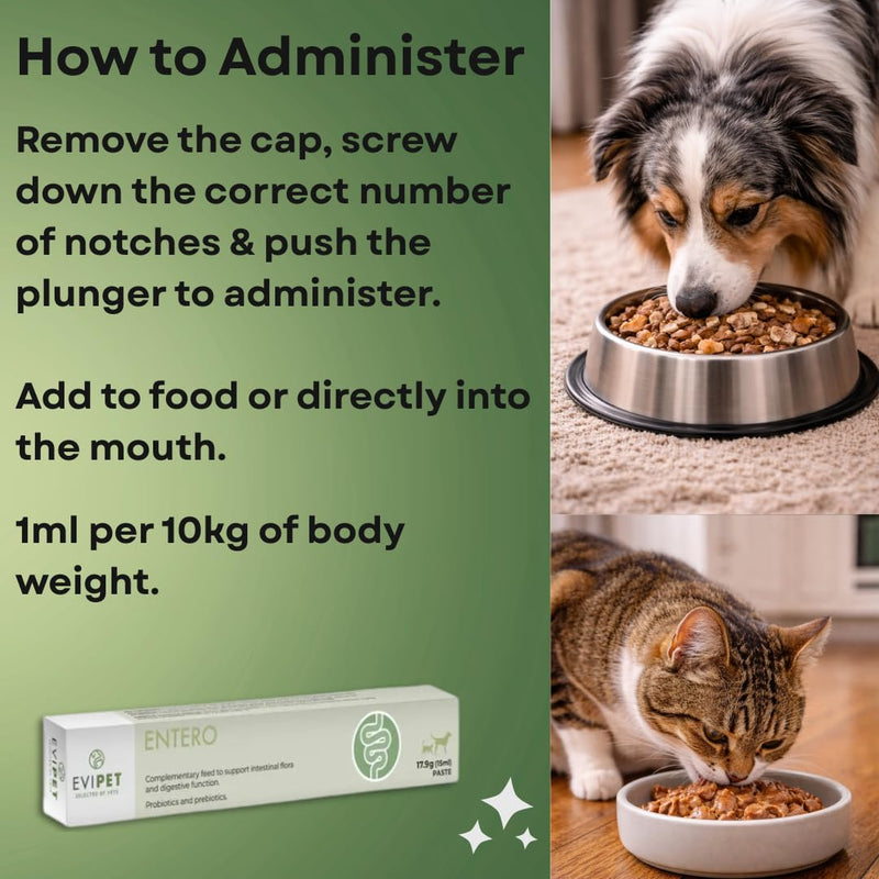 Entero Paste for Digestive Function in Cats and Dogs 15ml | Helps Maintain Normal Digestive Function | Promotes Friendly Bacteria
