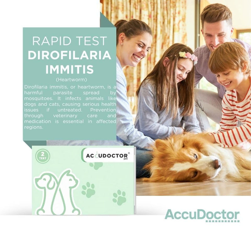 2 Test Accudoctor Heartworm Ag Dirofilariasis CHW Ag Heartworm Disease Dirofilariasis Dirofilaria Pets Dogs Canine Rapid Test Chair Dog Test Dog Dog Pet medium rapid test - BeesActive Australia