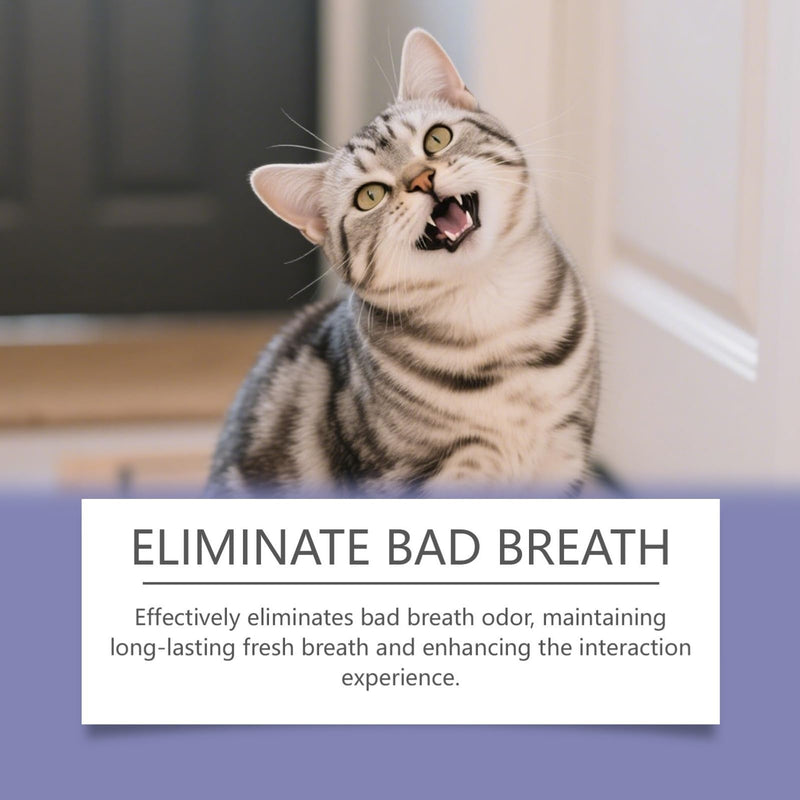 2PCS Pet Mouthwash,Natural Teeth Cleaning Mouthwash to Fight Tartar,Dog Mouthwash Add to Water,Fresh Breath for Dogs & CatsPromote Healthy Gums,Easy Daily Use for all Pet,Odorless Flavorless Formula 2
