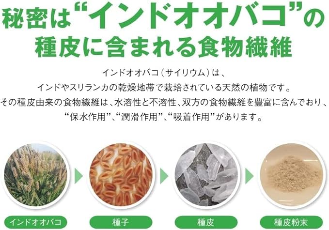 [Shaker included] Nissin Foods Triple Barrier Plantain Psyllium Green Apple Flavor 2 Box Set 1 Box 5 Pieces Fat Sugar Salt Food with Functional Claims Stick Type Powdered Beverage Trial - BeesActive Australia