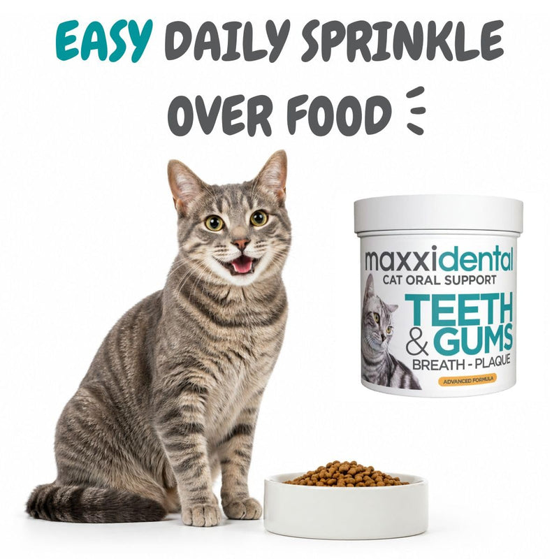 maxxipaws maxxidental Cat Dental Powder | Oral Care Supplement for Teeth, Gums, Plaque, Tartar and Fresh Breath | Kelp, Zeolite, Papain, Probiotics | Easy Sprinkle Formula | 3.2 oz