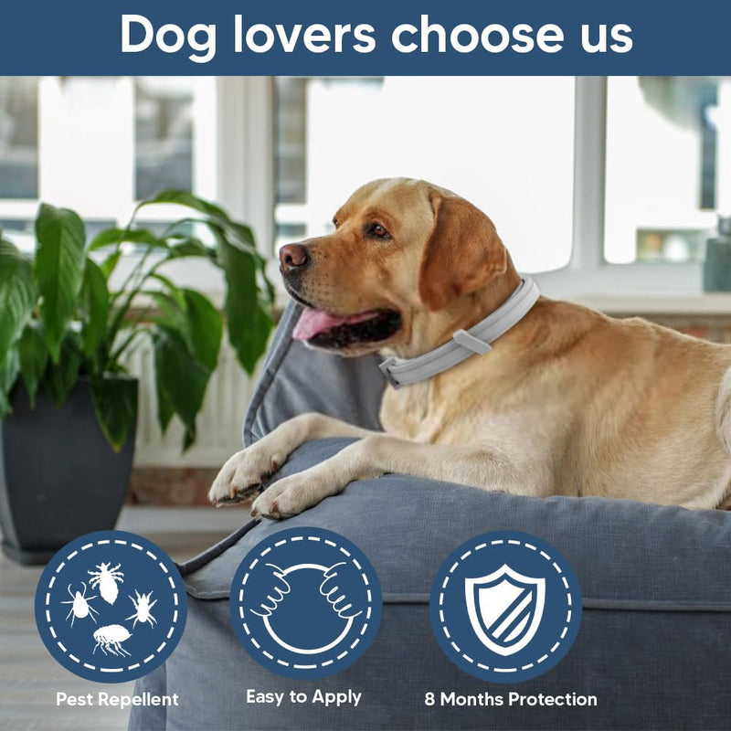 Dog Flea and Tick Collars, Natural Flea Repellent for Dogs, Tick Collars for Dogs, Dog Flea Collars, 8 Months Prevention, Suitable for Large Dogs, Medium Dogs, Small dogs-2P - BeesActive Australia