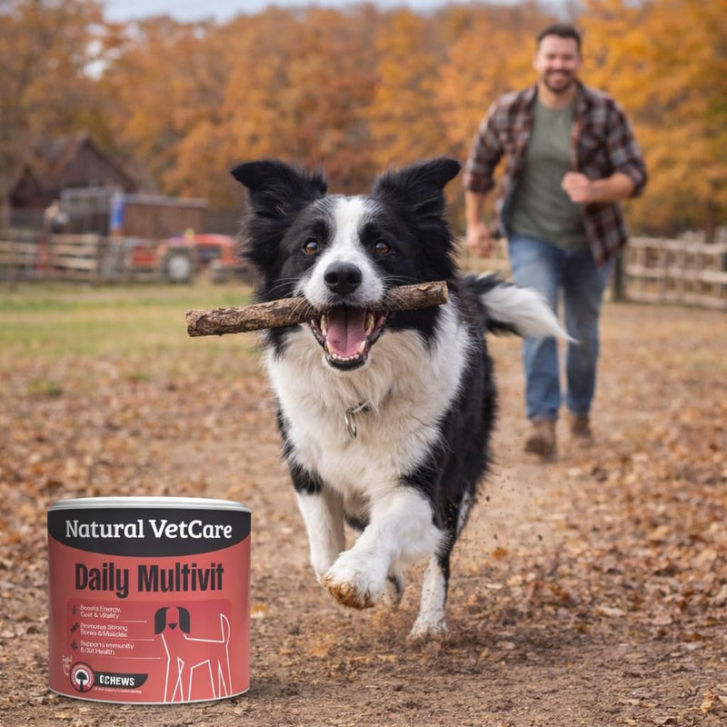 Natural VetCare Daily MULTIVIT Chews for Dogs 225g - Supports Immune System, Bones, Muscles, Coat & Daily Energy. Soft Daily Multivitamin Treats for Gut, Mobility & Overall Health