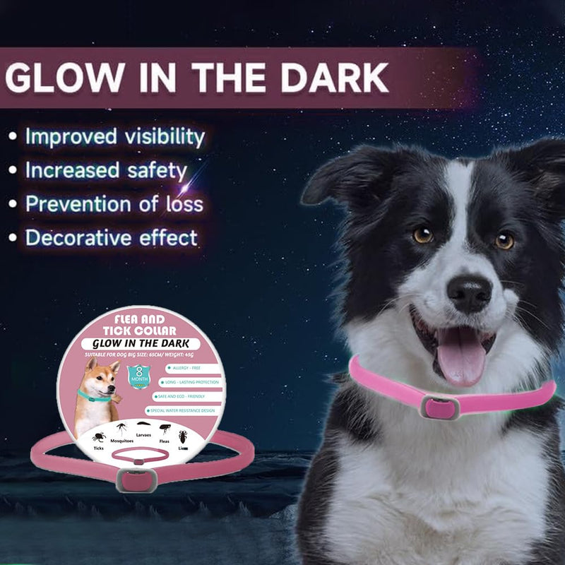 Tick collar for dogs Luminous prevention collar against parasites Adjustable to any size 2 pieces Adjustable flea and tick protection with up to 8 months protection (Pink) Pink - BeesActive Australia