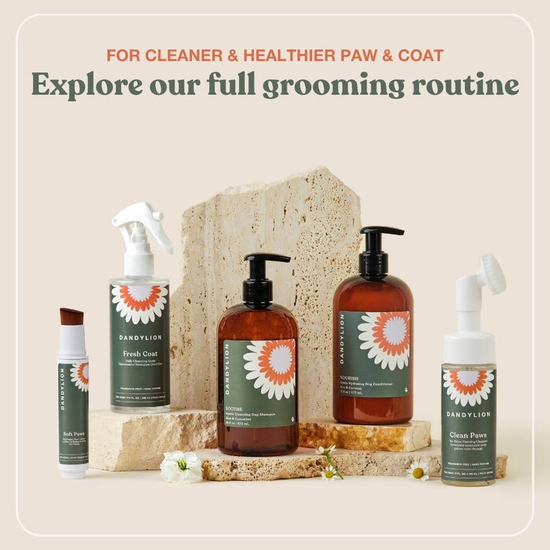 Dandylion Fresh Coat No-Rinse Dog Dry Shampoo Spray | Waterless Daily Cleansing Spray for Clean & Fresh Coat | Gentle Dry Shampoo for Dogs | Plant-Based, Fragrance Free & Vet Approved | 8.4 fl oz - PawsPlanet Australia