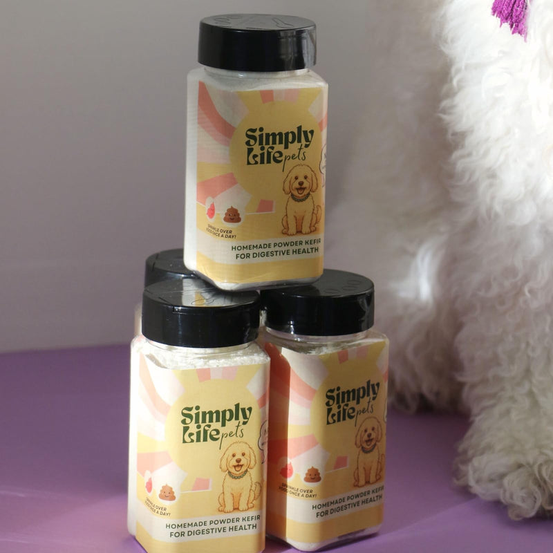 Simply Life Pets Kefir Powder Probiotic for Dogs, Freeze-Dried – Natural Digestive & Immune Support (1oz) 1oz