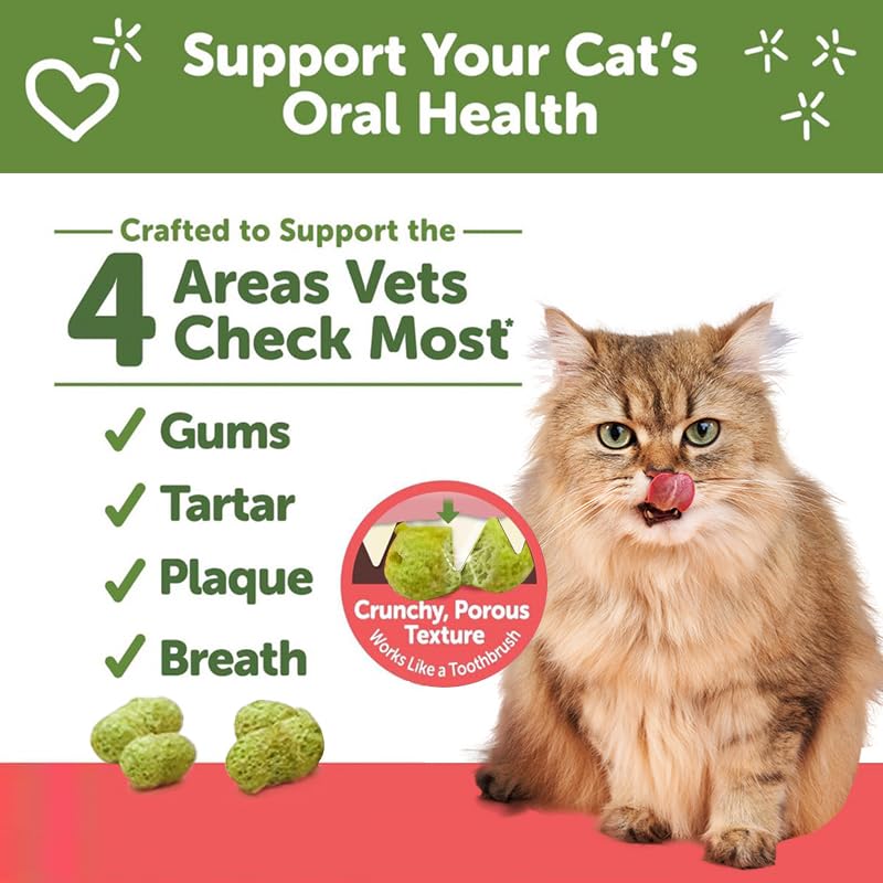 Cat Grass Dental Crunchy Treats, Natural Tasty Dental Care Snacks for Cats, Healthy Teeth Cleaning & Freshen Breath - BeesActive Australia