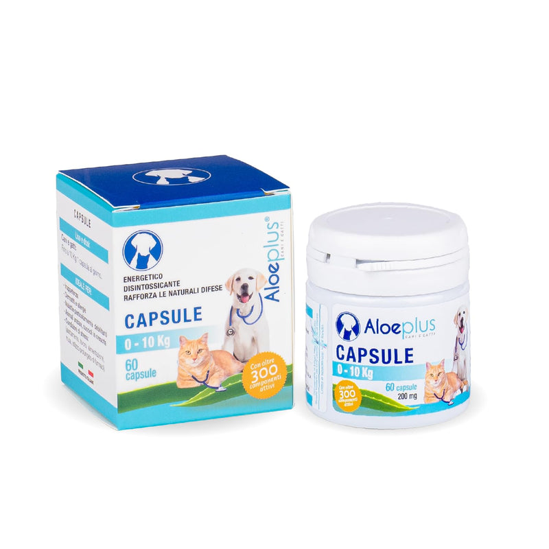 Cats & Dogs Capsules—an Energetic, detoxifying Supplement with Organic Aloe Arborescens. Supports Immunity for Puppies, Adult and Senior Pets, Helps Improve Appetite. 60 Capsules