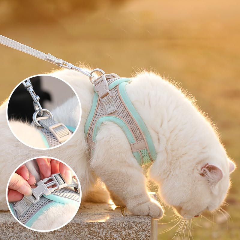 Cat Harness and Leash Set Soft Adjustable Escape Proof Cat Leash Breathable Comfortable Vest Easy to Wear Kitten/Small Dogs Harness for Outdoor Walking Green M Aqua Medium - BeesActive Australia