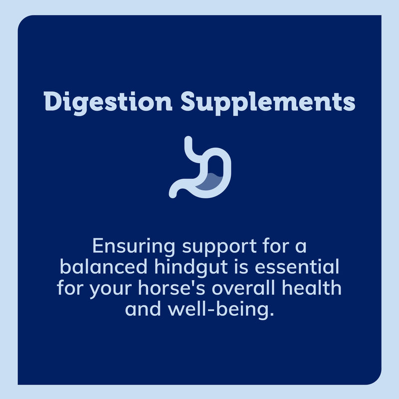 SmartPak SmartDigest Ultra Paste Digestive Health and Support Horse Supplement | Provides Prebiotics, Probiotics, Digestive Enzymes, Butterscotch Flavor, Pack of 6 Tubes - PawsPlanet Australia