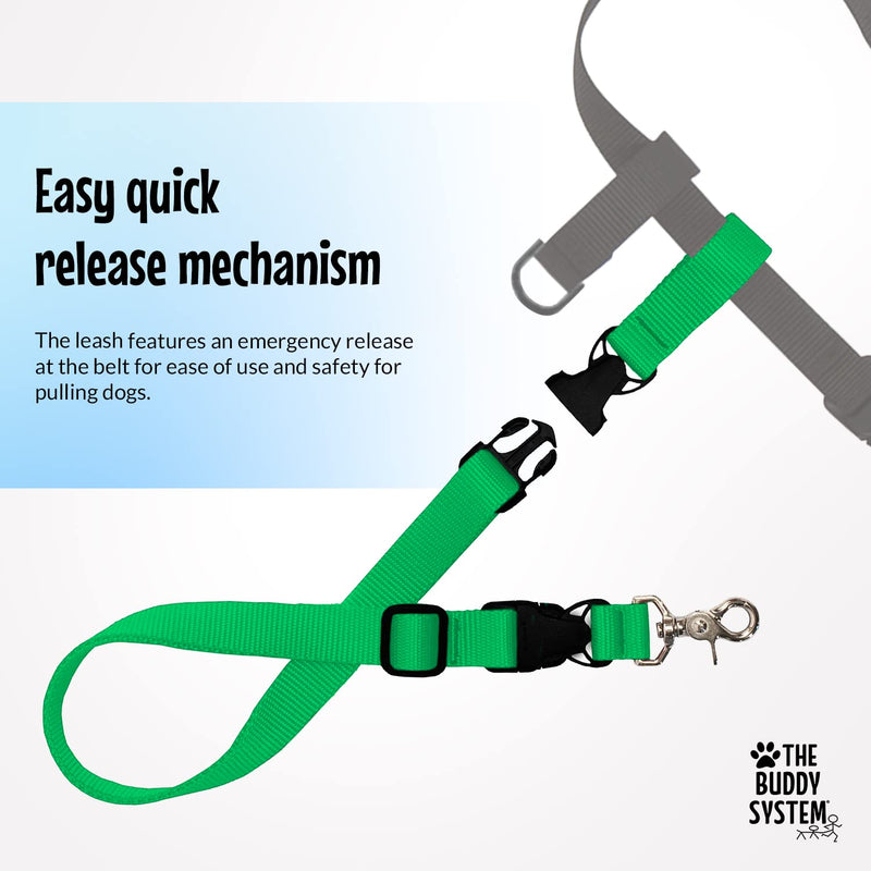 The Buddy System Hands Free Dog Leash, Adjustable Leash for Running, Jogging, Training and Service Dogs, Great for Small, Medium and Large Dogs, Made in USA (Green, Regular Belt (22"- 40" Waist)) Regular Dog System (Regular Belt (22"- 40" Waist)) Green