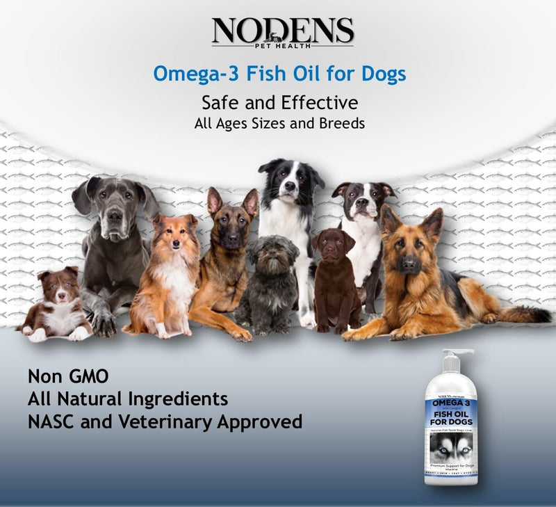Fish Oil for Dogs Natural Omega 3 Fish Oil Liquid, Dog Skin & Coat Supplement - Dog Fish Oil Supplement for Shedding, Allergy & Itch Relief - Omega 3 Fish Oil Dogs Joints, Immune Support & Digestion - PawsPlanet Australia