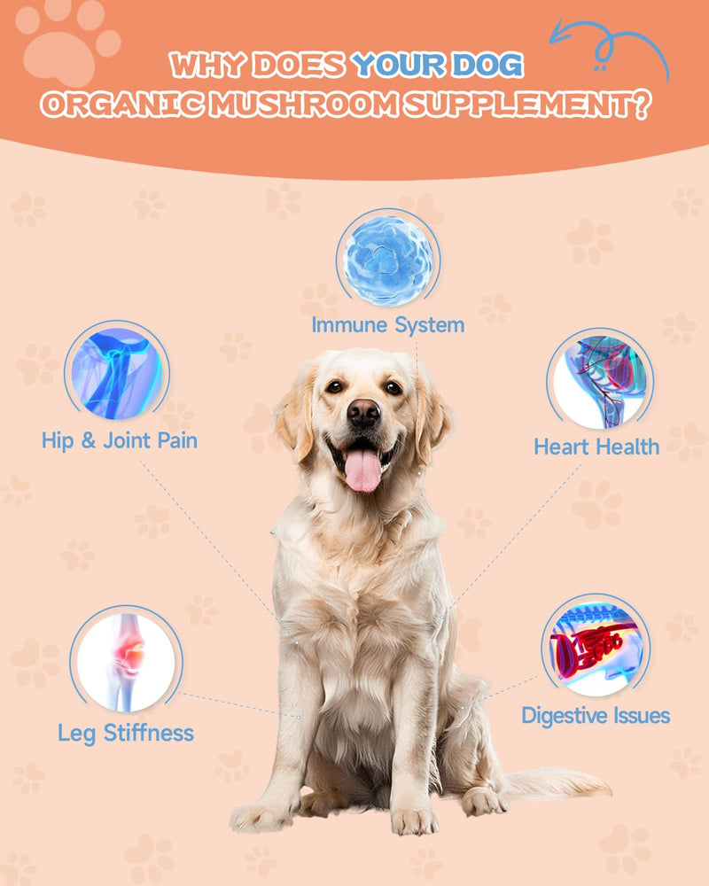 Dog Pumpkin Powder & Dog Collagen Drops