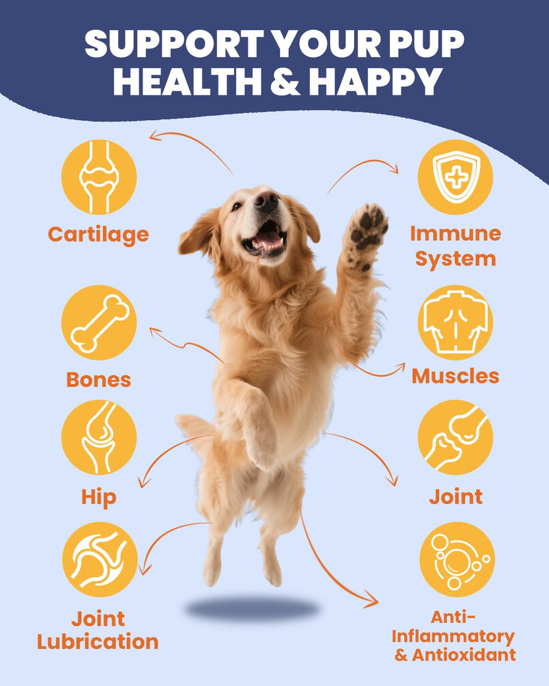 Joint Supplements for Dogs - Dog Joint Supplements for senior dogs with Glucosamine, Chondroitin, MSM - Soothes Joints, Aids Mobility - Green Lipped Mussel for Dogs - Chicken Flavor Paste, 60ML