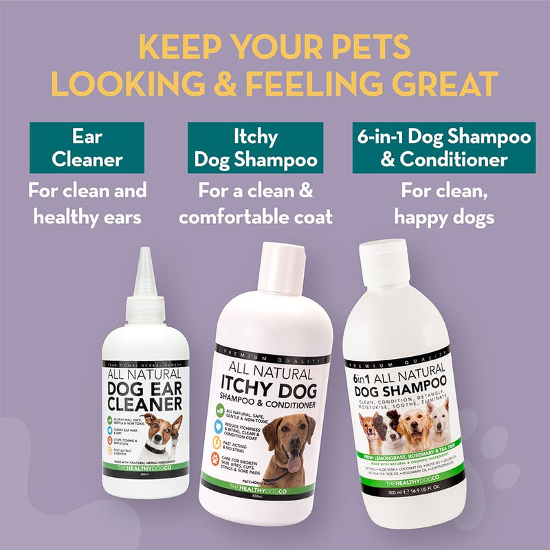 The Healthy Dog Co - Dog Perfume Spray - Honey & Oatmeal Dog Spray for Smelly Dogs - Lovely Smelling Dog Deodorant for Smelly Dogs - Dog Cologne suitable as Puppy Spray - 250ml - BeesActive Australia