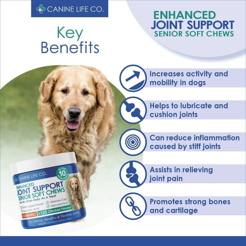 Canine Life Co. Senior Dog Joint Supplement – 10 Active Ingredients with Glucosamine, Green Lipped Mussel & Turmeric – High Strength Soft Chews for Dogs Aged 8+ – 120 Chicken-Flavoured Treats