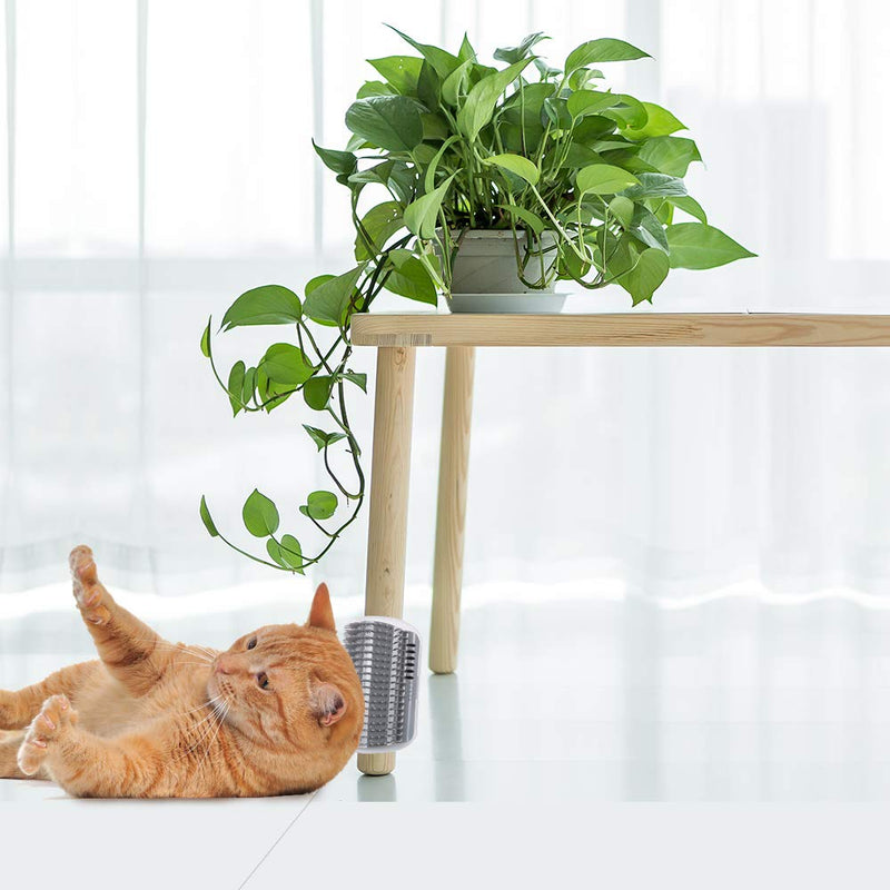 Kitten Self Grooming Massage Brush Wall Corner Brush Tool Cat Toys Self-Cleaning Cat Brush with Catnip Support for Doors Table Walls - BeesActive Australia