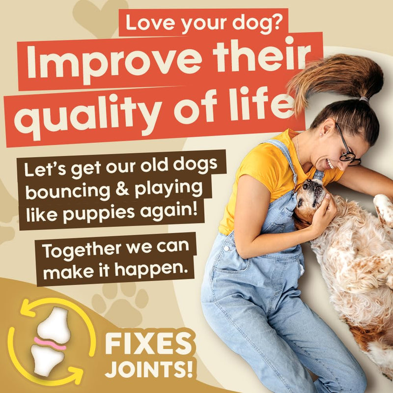 Bouncer's Joint Supplements for Dogs - High Strength Glucosamine, Chondroitin & Hyaluronic Acid | Affordable Mobility Support for Senior Dogs | 100% Recyclable | Letterbox Friendly 240 Tablet Pack