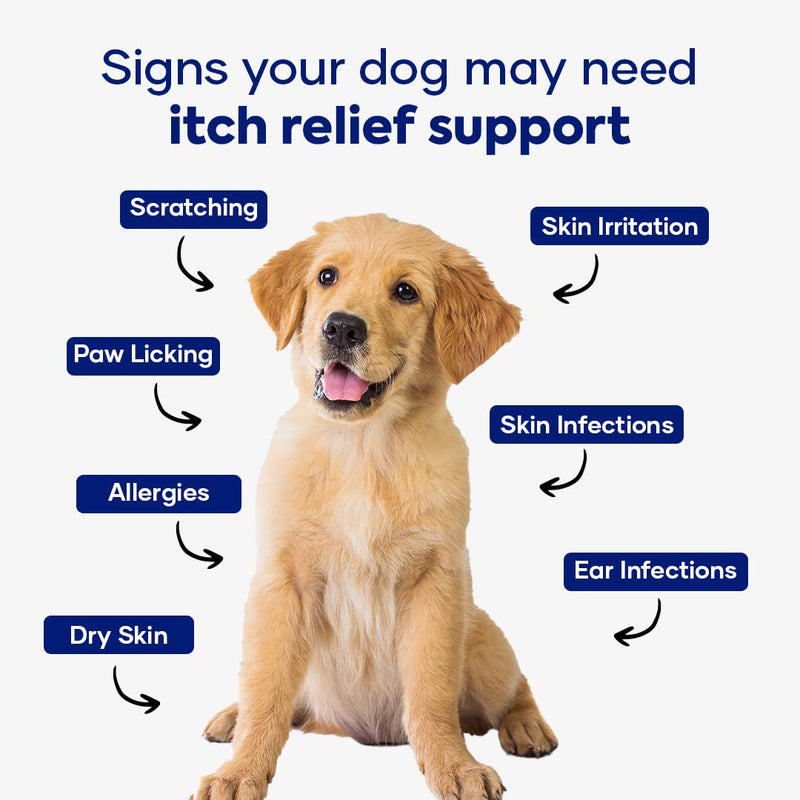 Itch Relief Chews for Dogs – Vitamin E & Borage Oil Supplement – Packed with Beneficial Fatty Acids for Healthy Skin – Seasonal Allergies Support 1