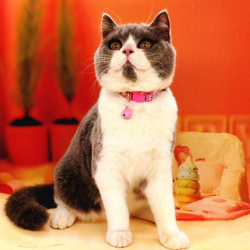 THAIN Basic Adjustable Cat Collar Bling Diamond Breakaway with Bell for Kitten Girl boy (Pink) Pink - BeesActive Australia
