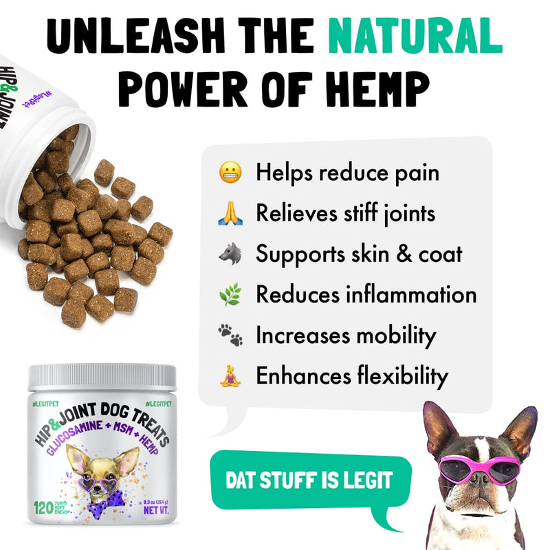 Wild Alaskan Salmon Oil for Dogs & Cats 32 oz and Hemp Hip & Joint Supplement for Dogs 120 Soft Chews